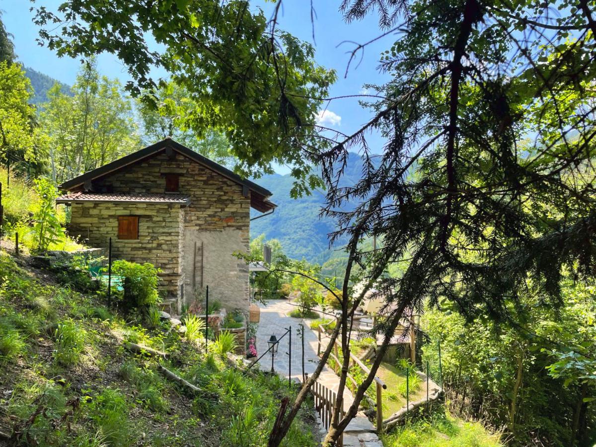 Ferienhaus Casa Antonia Cavaglio-Spoccia